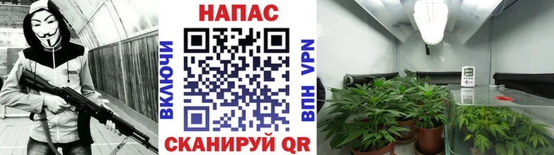 Каннабис SATIVA & INDICA  кракен сайт  Первоуральск  закладка 